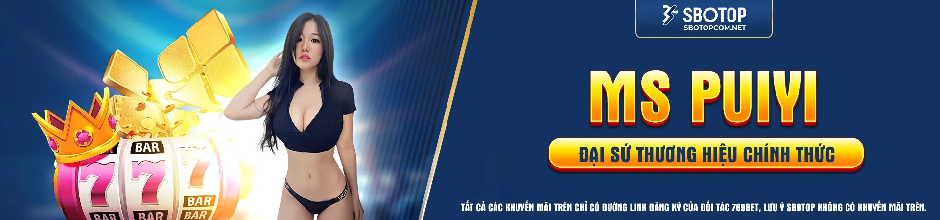 banner sbptop puiyi